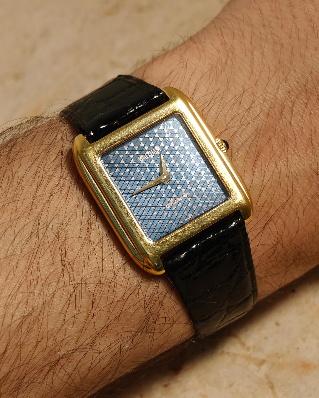 Waltham Maxim Blue Tank