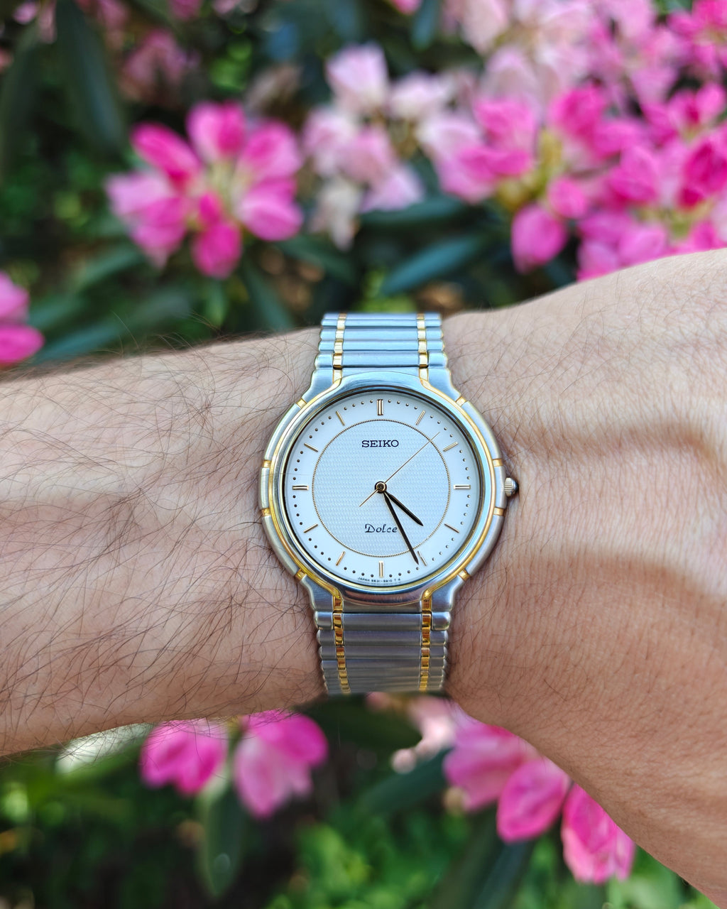 Seiko Dolce 5e31-6820